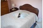Property photo 67 - PERSONAL PROPERTY AUCTION IN ALLEN COUNTY, INDIANA